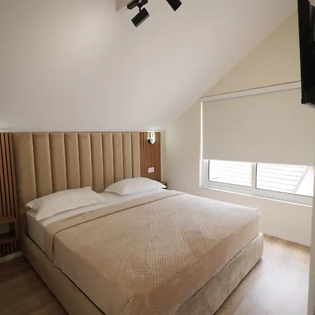 Dionis Luxury Penthouse * Shkodër