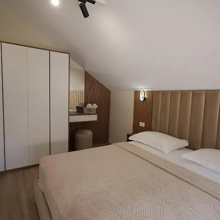 Dionis Luxury Penthouse * Shkodër